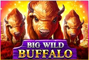 Play Big Wild Buffalo